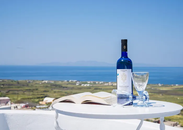 Fava Eco Aparthotel Foinikia (Santorini)