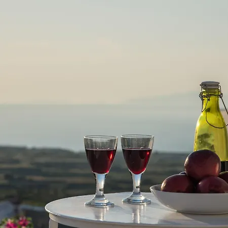Aparthotel Fava Eco Foinikia (Santorini)